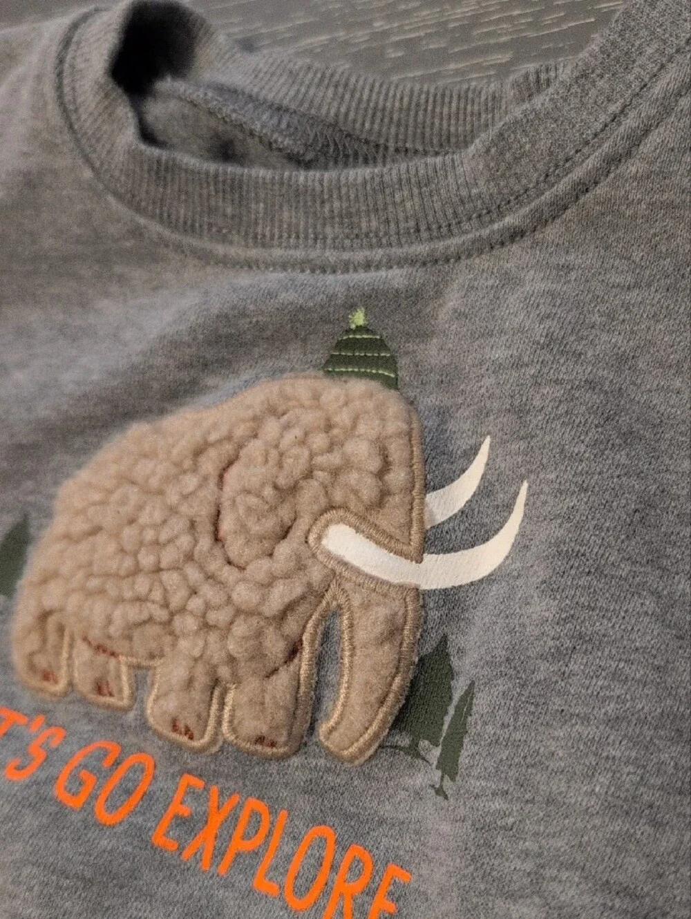 Grey Kids 'Let's Go Explore' Mammoth Sweatshirt